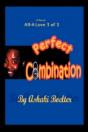 Perfect Combination - Preview