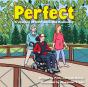 Perfect - Preview