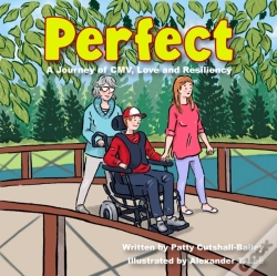 Capa do artigo Perfect