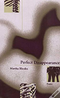 Capa do artigo Perfect Disappearance
