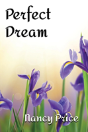 Perfect Dream - Preview