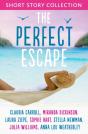 Perfect Escape - Preview