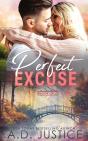 Perfect Excuse - Preview