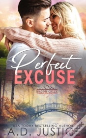 Capa do artigo Perfect Excuse