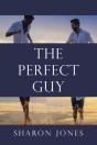 Perfect Guy - Preview