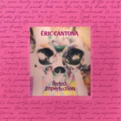 Capa do artigo Perfect Imperfection - Vinil