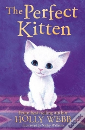 Capa do artigo Perfect Kitten