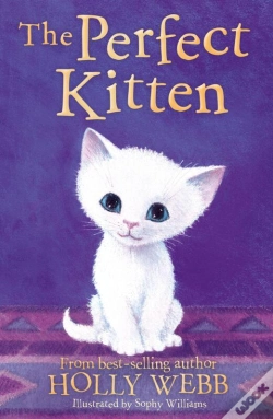 Capa do artigo Perfect Kitten