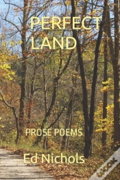 Capa do artigo Perfect Land