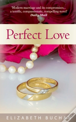 Capa do artigo Perfect Love