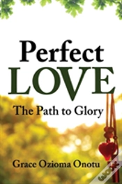 Capa do artigo Perfect Love