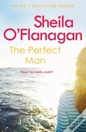 Capa do artigo Perfect Man