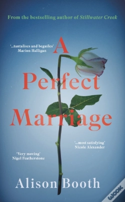 Capa do artigo Perfect Marriage