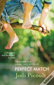 Capa do artigo Perfect Match