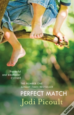 Capa do artigo Perfect Match