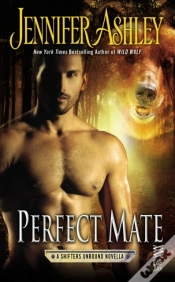 Capa do artigo Perfect Mate