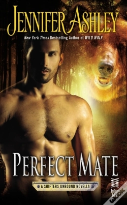 Capa do artigo Perfect Mate