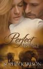 Perfect Mistake - Preview