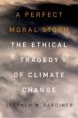 Perfect Moral Storm - Preview