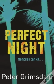 Capa do artigo Perfect Night