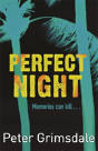 Perfect Night - Preview