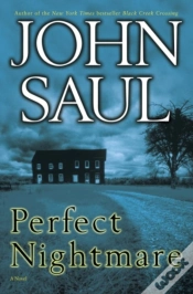Capa do artigo Perfect Nightmare