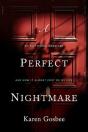 Perfect Nightmare - Preview
