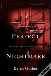 Capa do artigo Perfect Nightmare