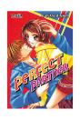 Perfect Partner - Preview
