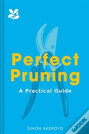 Capa do artigo Perfect Pruning