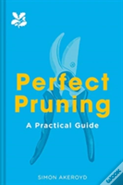 Capa do artigo Perfect Pruning