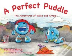 Perfect Puddle