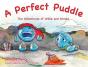 Perfect Puddle - Preview