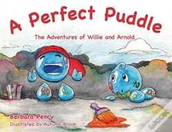 Capa do artigo Perfect Puddle