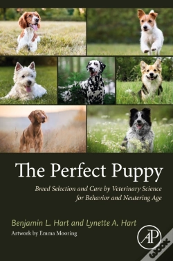 Capa do artigo Perfect Puppy