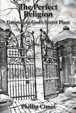 Capa do artigo Perfect Religion