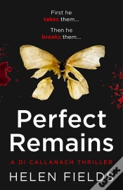 Capa do artigo Perfect Remains