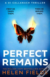 Capa do artigo Perfect Remains