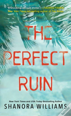 Capa do artigo Perfect Ruin