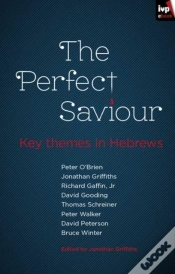 Capa do artigo Perfect Saviour