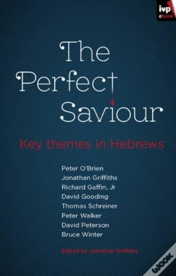 Capa do artigo Perfect Saviour