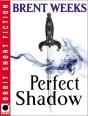 Perfect Shadow - Preview