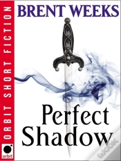 Capa do artigo Perfect Shadow