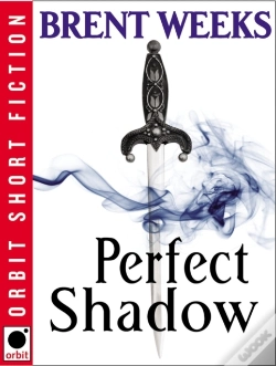 Capa do artigo Perfect Shadow