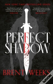 Capa do artigo Perfect Shadow