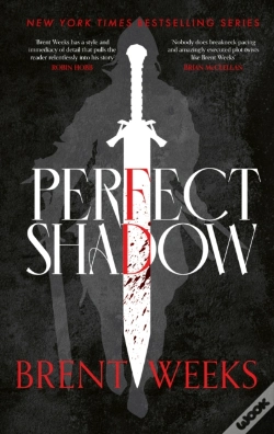 Capa do artigo Perfect Shadow