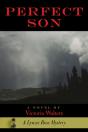 Perfect Son - Preview
