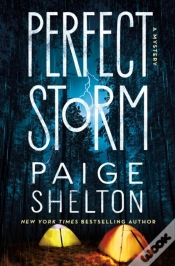 Capa do artigo Perfect Storm