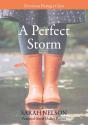 Perfect Storm - Preview