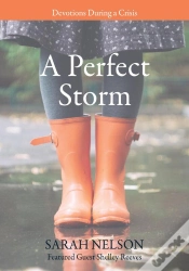 Capa do artigo Perfect Storm